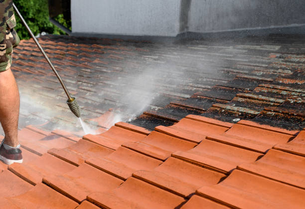 Best Sidewalk Pressure Washing  in West Newton, PA