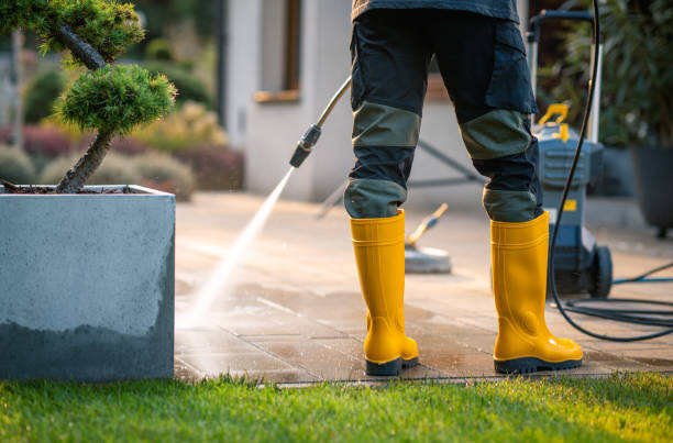 Best Best Pressure Washing Companies  in West Newton, PA